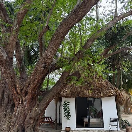 Cabanas Camping Ria เซเลสตุน ภายนอก รูปภาพ
