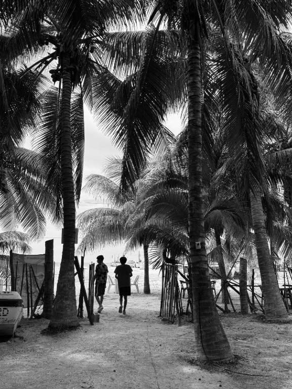 Cabanas Camping Ria เซเลสตุน ภายนอก รูปภาพ