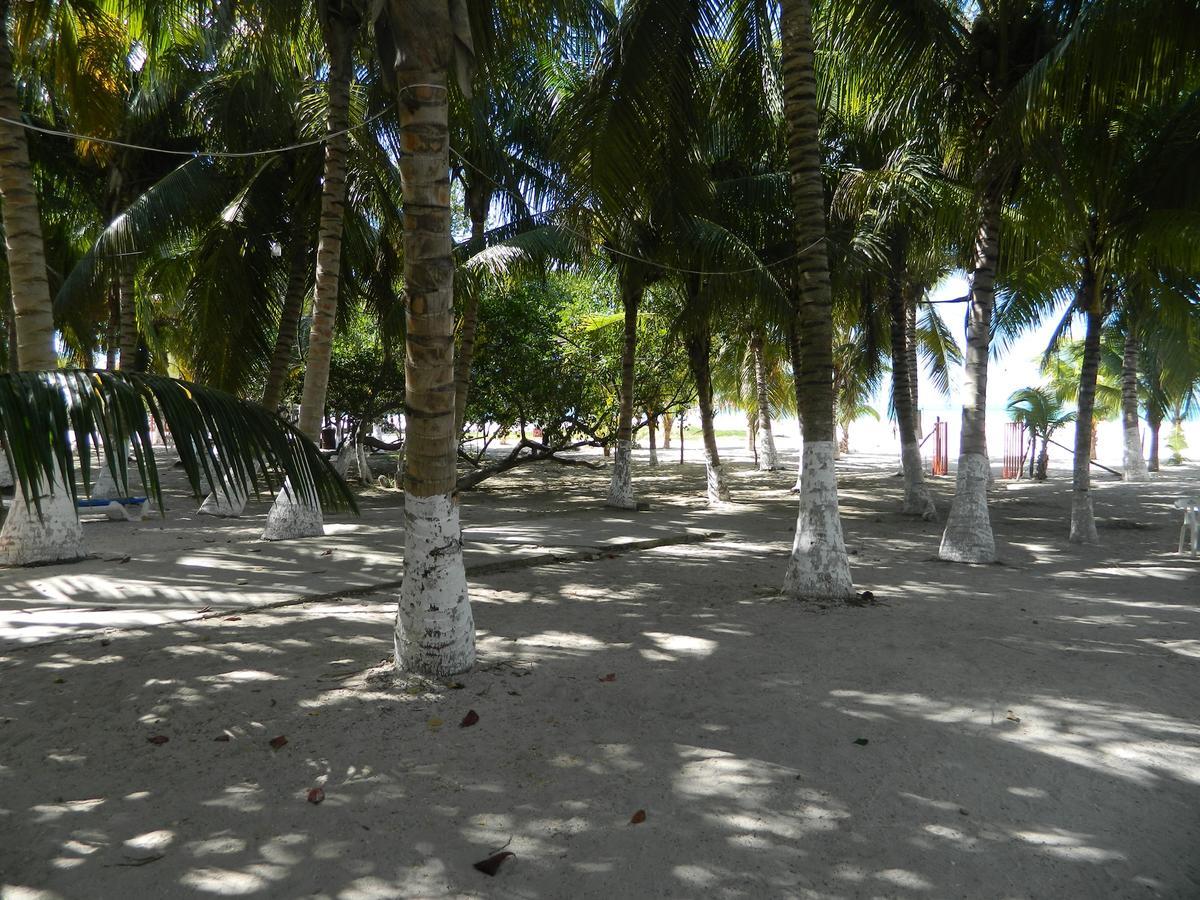 Cabanas Camping Ria เซเลสตุน ภายนอก รูปภาพ