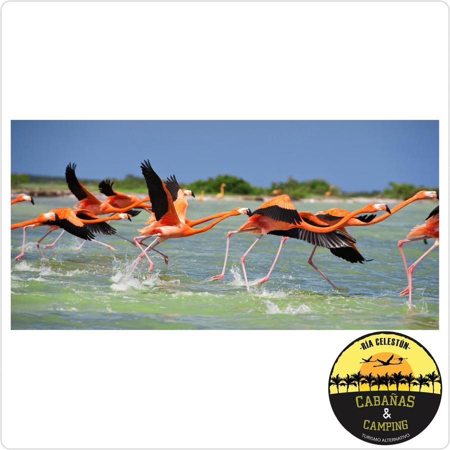 Cabanas Camping Ria เซเลสตุน ภายนอก รูปภาพ